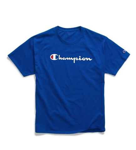Champion Jersey Tee Script Logo Surf The Web